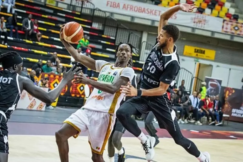 مسار تحدد وآخر تترقبه مصر في ربع نهائي الأفروباسكت 2025