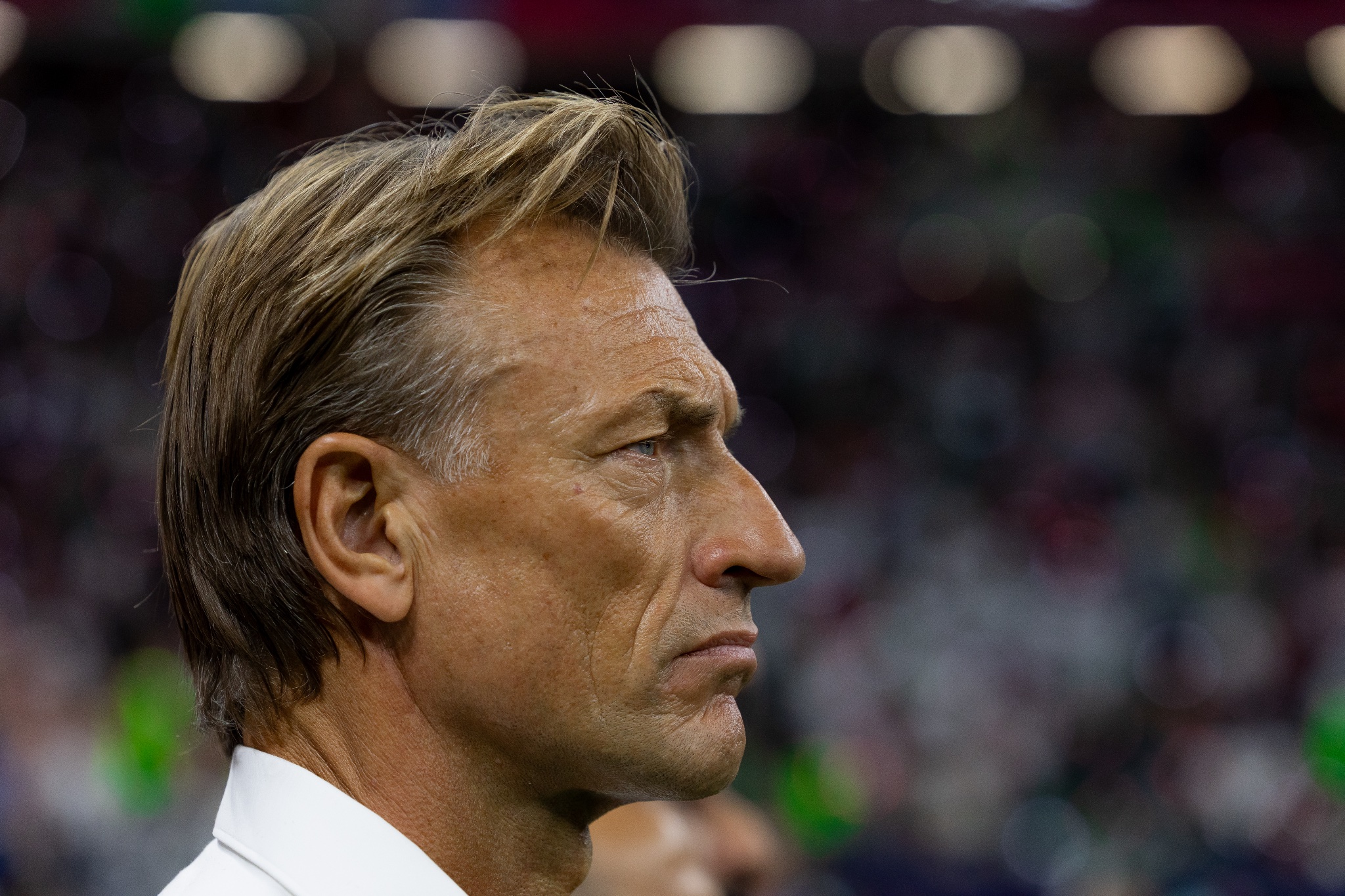 فيصل بن تركي يكشف كواليس رفض رينارد تدريب النصر