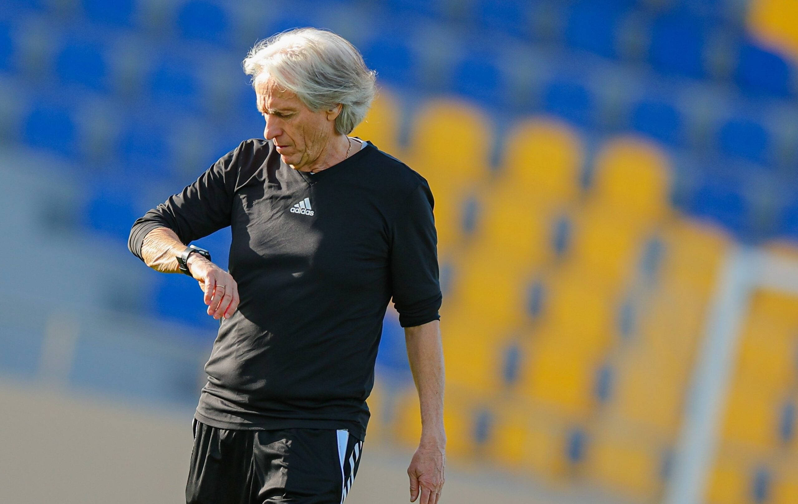 جيسوس يستبعد بروزوفيتش من حسابات النصر أمام الخلود